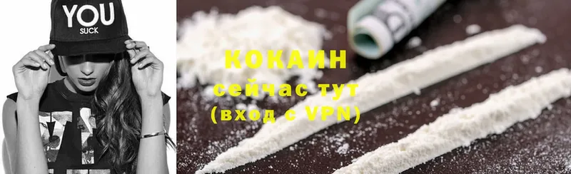 наркота  Адыгейск  COCAIN FishScale 