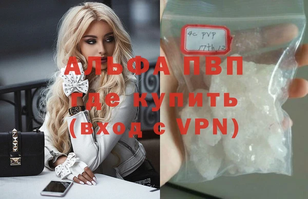 прущие грибы Абинск